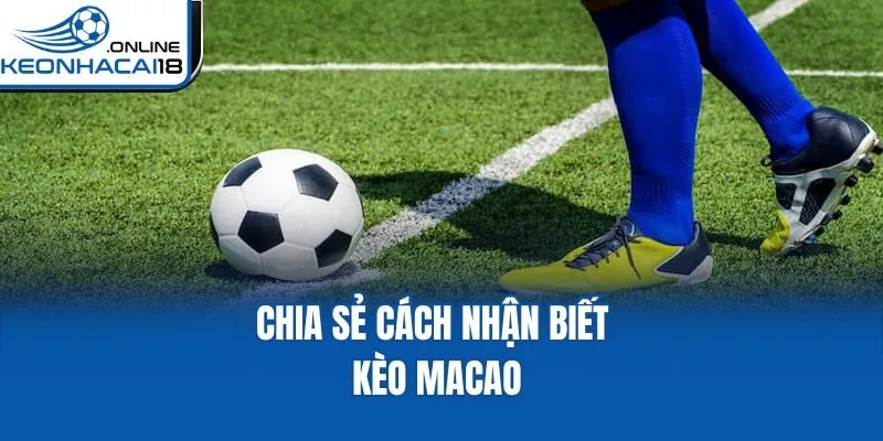 Chia sẻ cách nhận biết kèo Macao