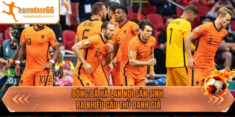 Bóng đá Hà Lan nơi sản sinh ra nhiều cầu thủ danh giá 