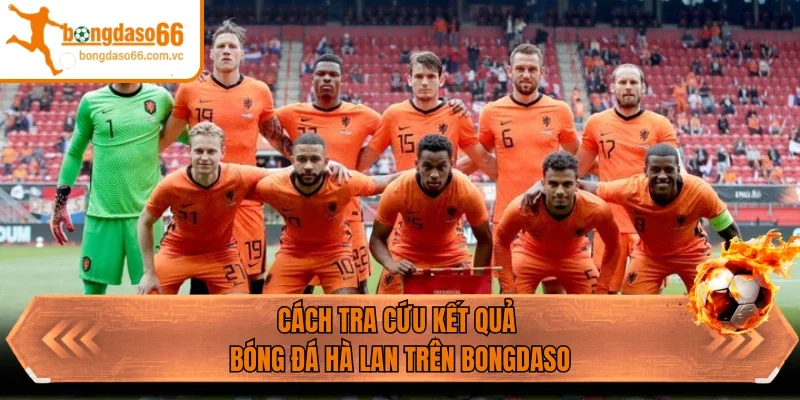 Cách tra cứu kết quả bóng đá Hà Lan trên Bongdaso