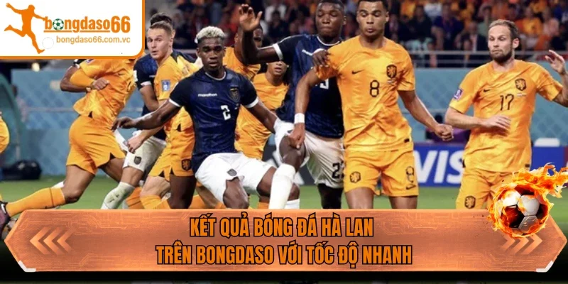 Kết quả bóng đá Hà Lan trên Bongdaso với tốc độ nhanh 