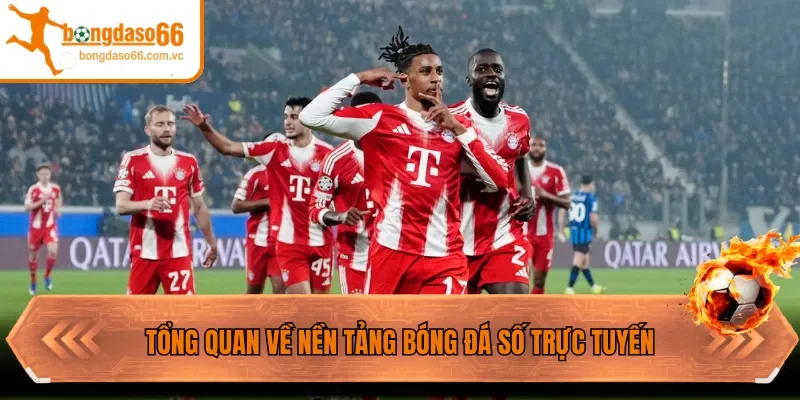 Tổng quan nền tảng bóng đá số trực tuyến
